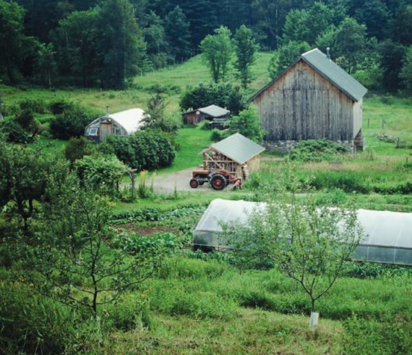 Holistic Orchard Intensive - Heartsong Farm Wellness Center